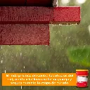 63823_5.webp